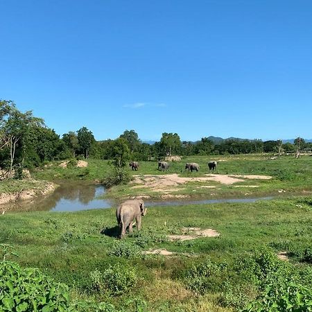 I Love Phants Lodge Ban Huai Thawai Exterior foto
