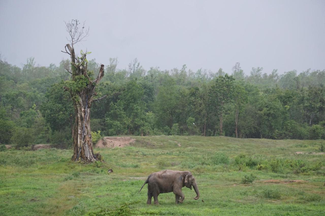 I Love Phants Lodge Ban Huai Thawai Exterior foto