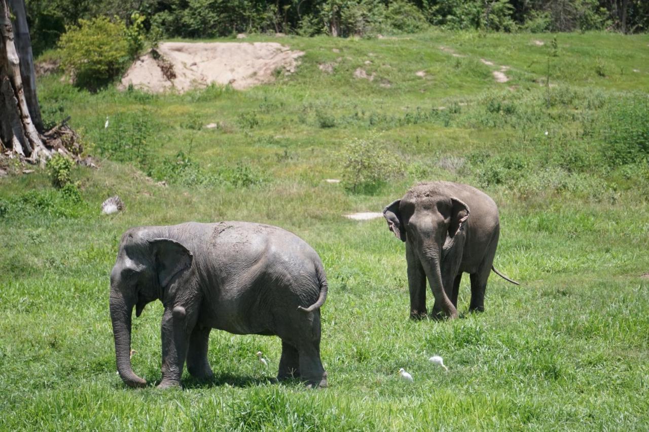 I Love Phants Lodge Ban Huai Thawai Exterior foto