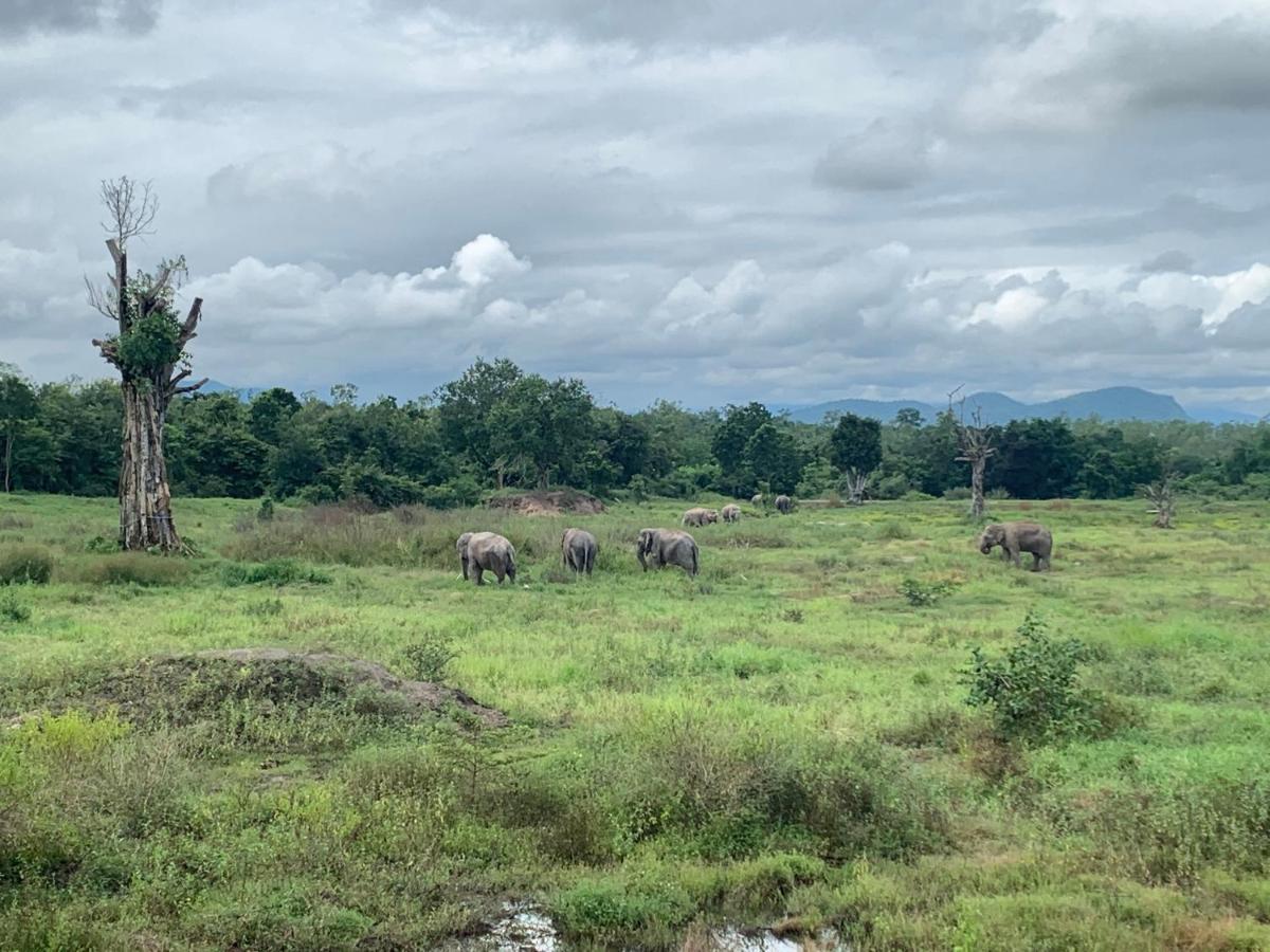 I Love Phants Lodge Ban Huai Thawai Exterior foto