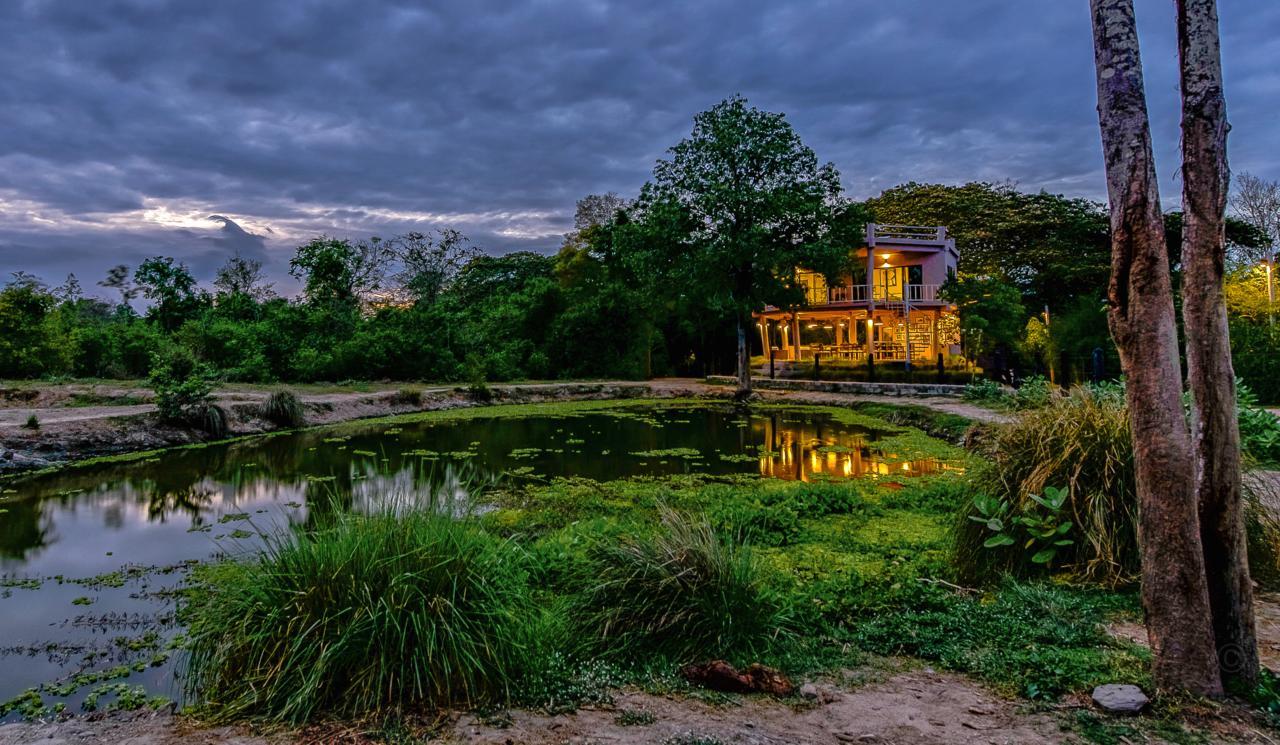 I Love Phants Lodge Ban Huai Thawai Exterior foto