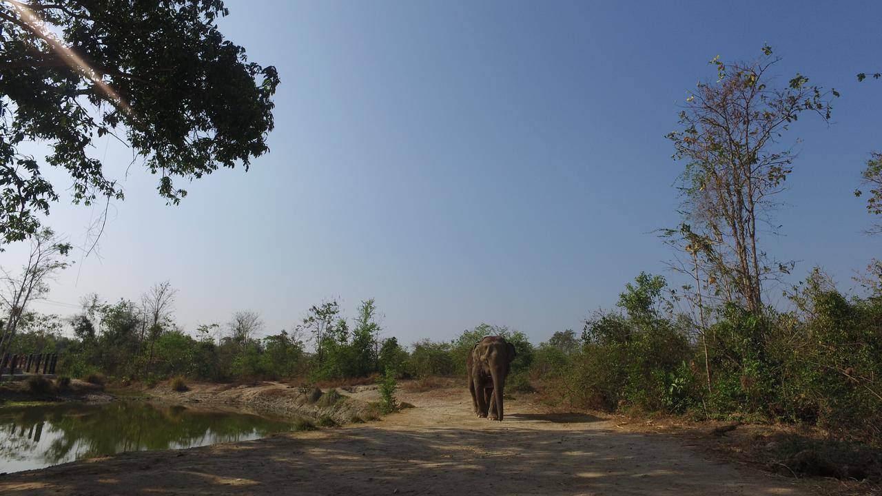 I Love Phants Lodge Ban Huai Thawai Exterior foto